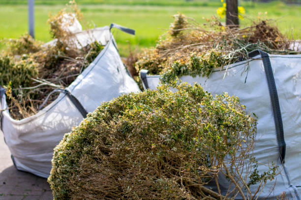 Best Office Junk Removal  in Harvard, IL
